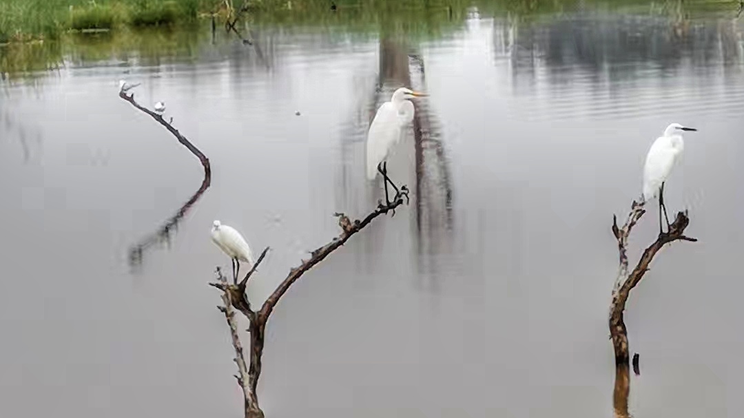 说走就走的旅行拒绝私聊,说走就走旅行没有尔虞我诈