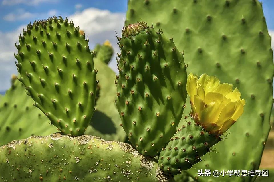 五年级上册各单元写作范文,回顾2020优秀作文范文5篇