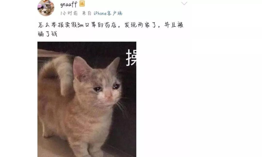 一次性医用口罩20个是真是假,24万只口罩虚假标注