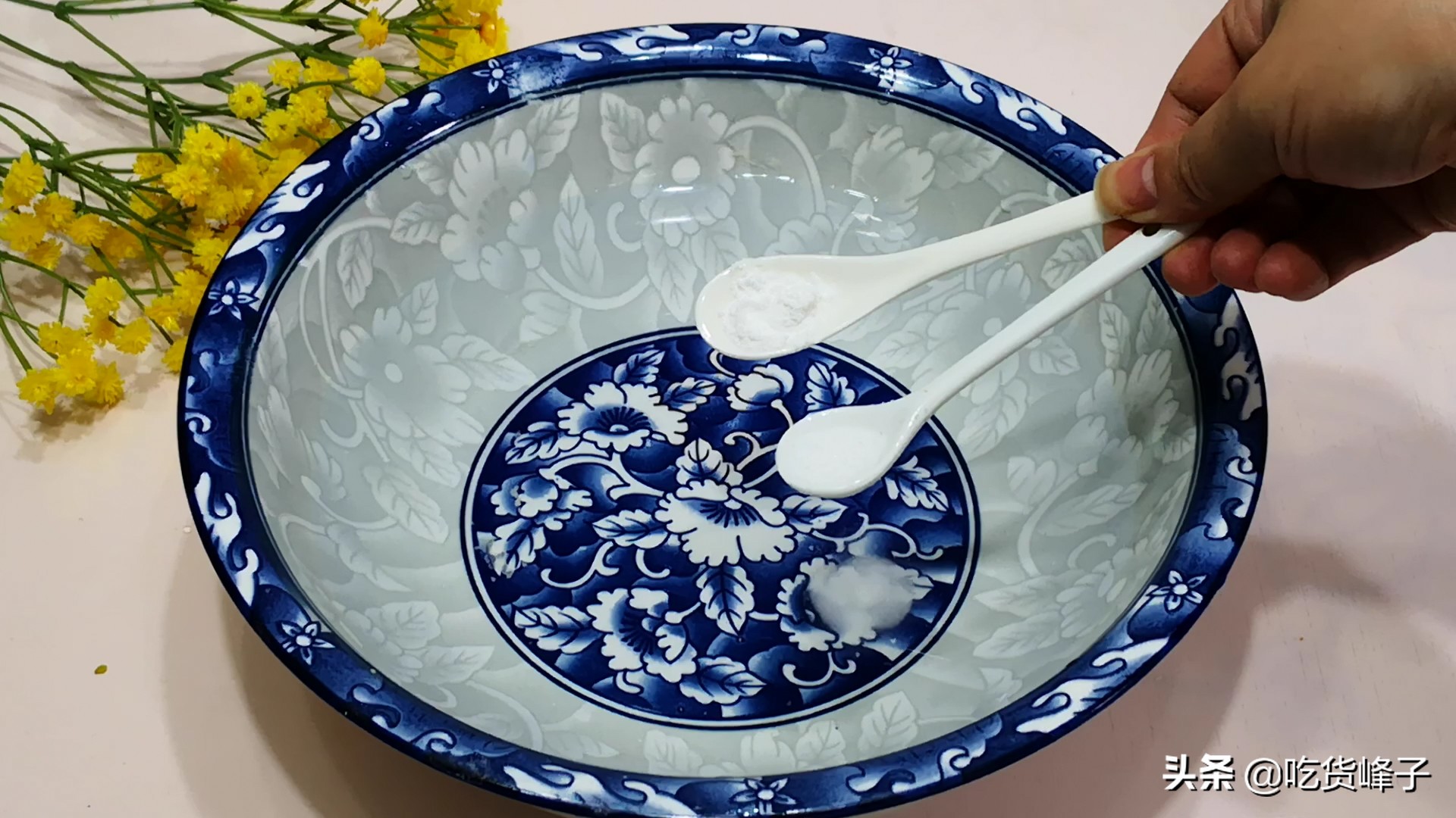 蔬菜起虫子有什么方法无公害驱虫,如何洗青菜才能将菜虫洗出来