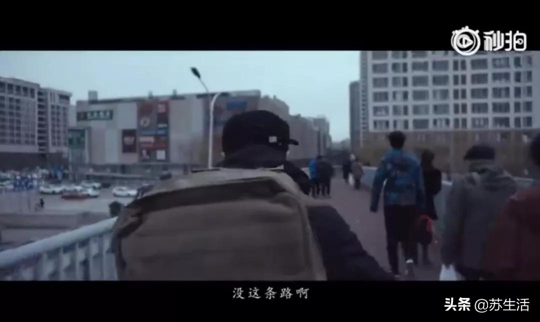 啥是佩奇导演新作,什么是佩奇导演