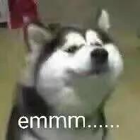 a站b站c站d站e站都是什么,什么是a站b站c站d站e站f站