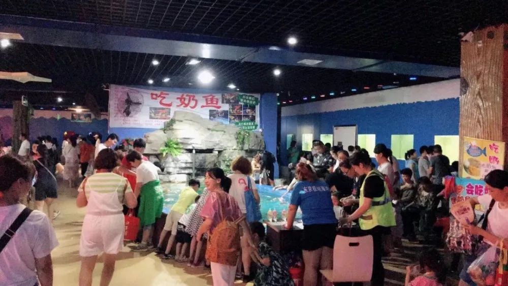 开封海洋馆门票70岁免费吗,开封海洋馆门票20元2019