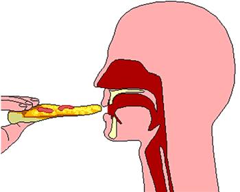 知常识|如果人嘴里没有唾液会怎样？