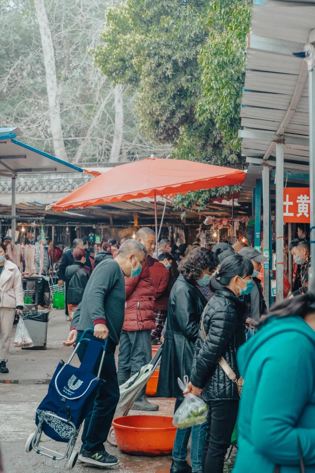 沙河边的野生菜市，是成都嬢嬢的狂欢现场