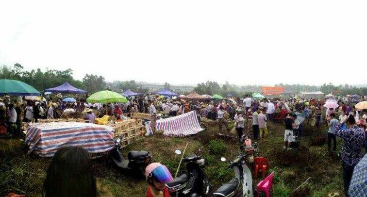 雷州阴阳圩现状,雷州阴阳圩鬼市是几月几号