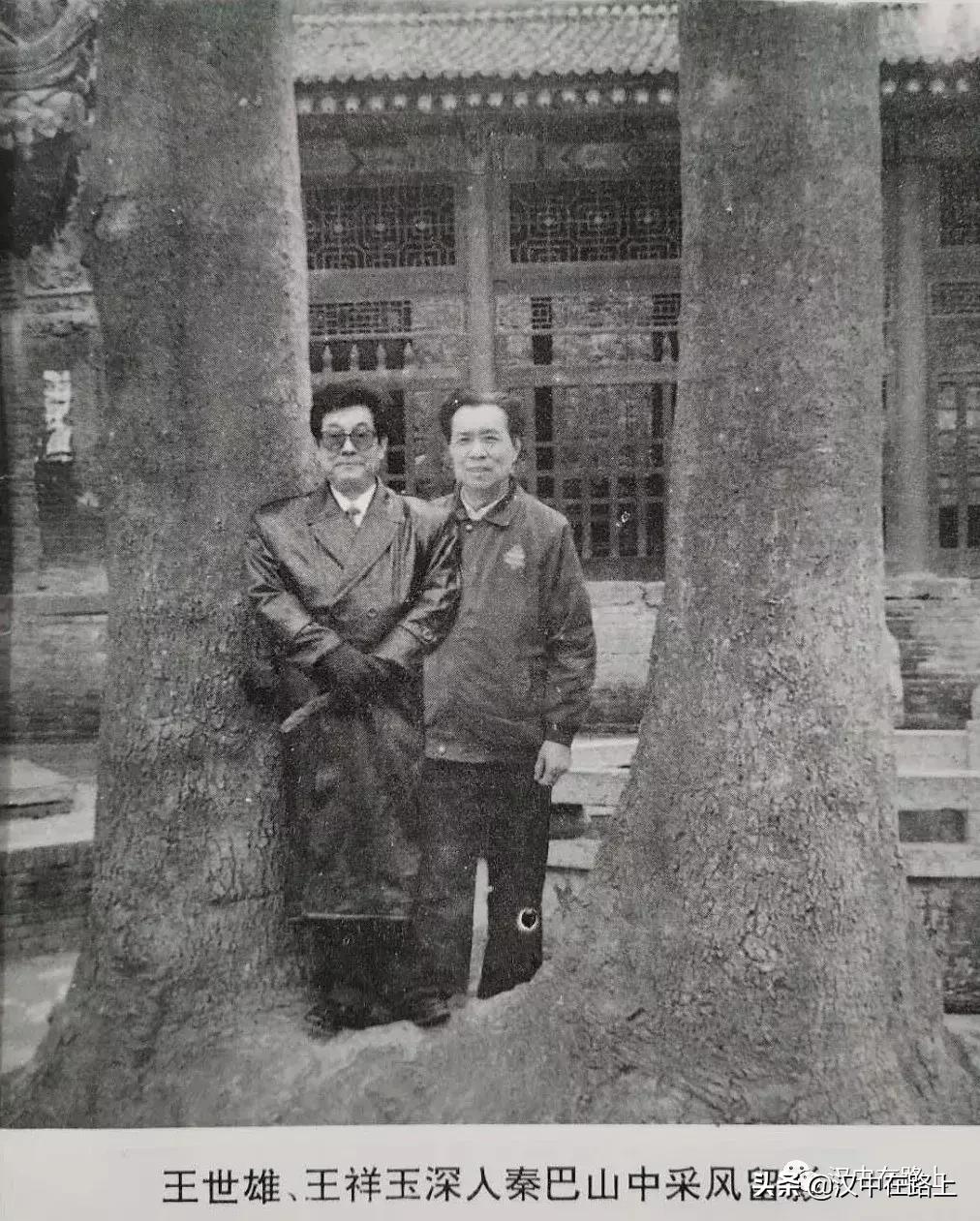 秦巴风土——民间杂艺：剪纸