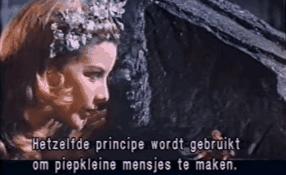 鸽子为什么这么大？懂数学的给出了答案