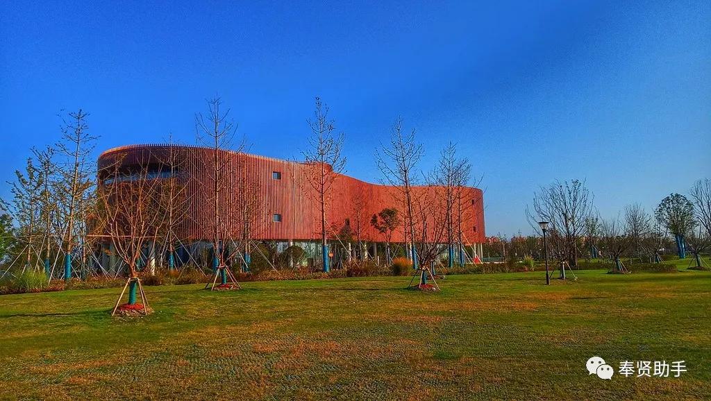 奉贤区南桥镇旅游景点,上海奉贤景点推荐一日游最佳路线