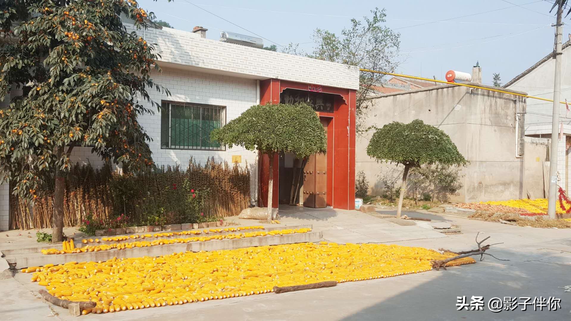 蔡家坡西部百强镇,全国千强镇新袁镇排名