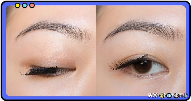 懒癌患者神器哪个好,懒癌必备神器推荐