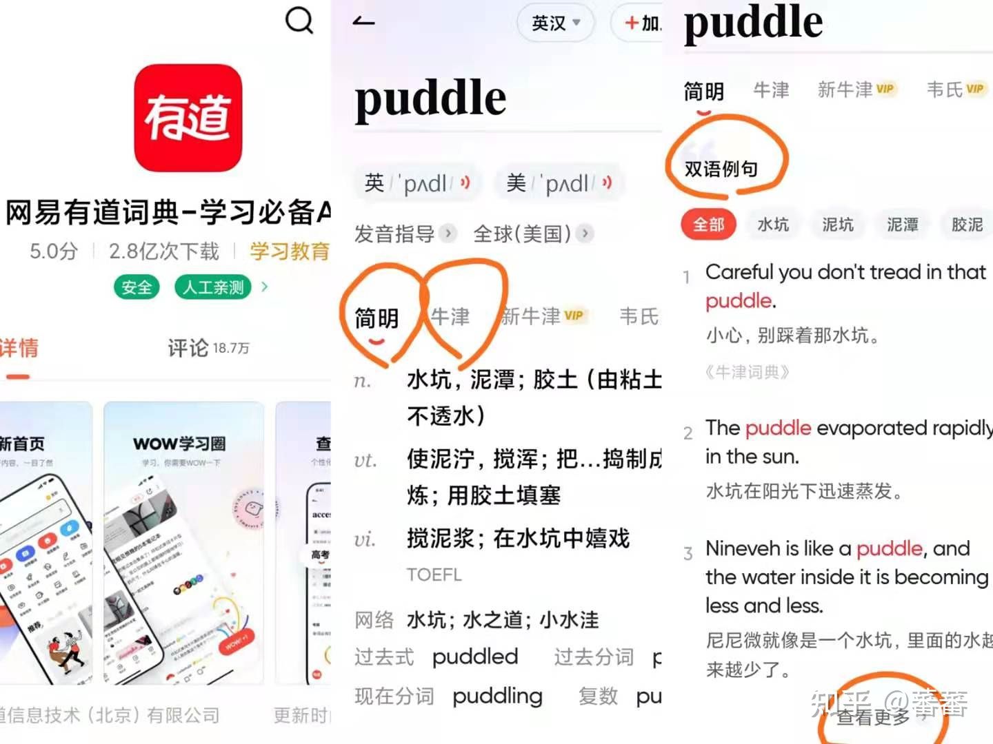免费测英语单词的app,免费测试英语口语软件app