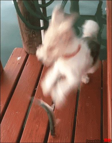 搞笑gif动图吸引人,不听话搞笑gif动图