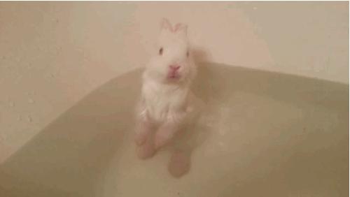 洗澡比较干爽的香皂有哪些,为什么香皂洗澡身体会涩涩的