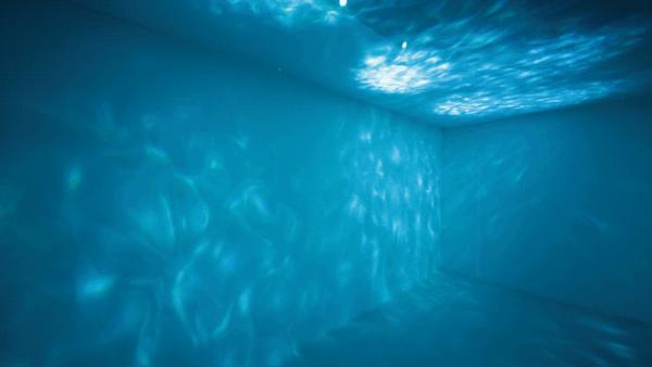 湿气最怕这种菜祛湿健脾又开胃,湿气最怕这6种菜隔三差五吃一次