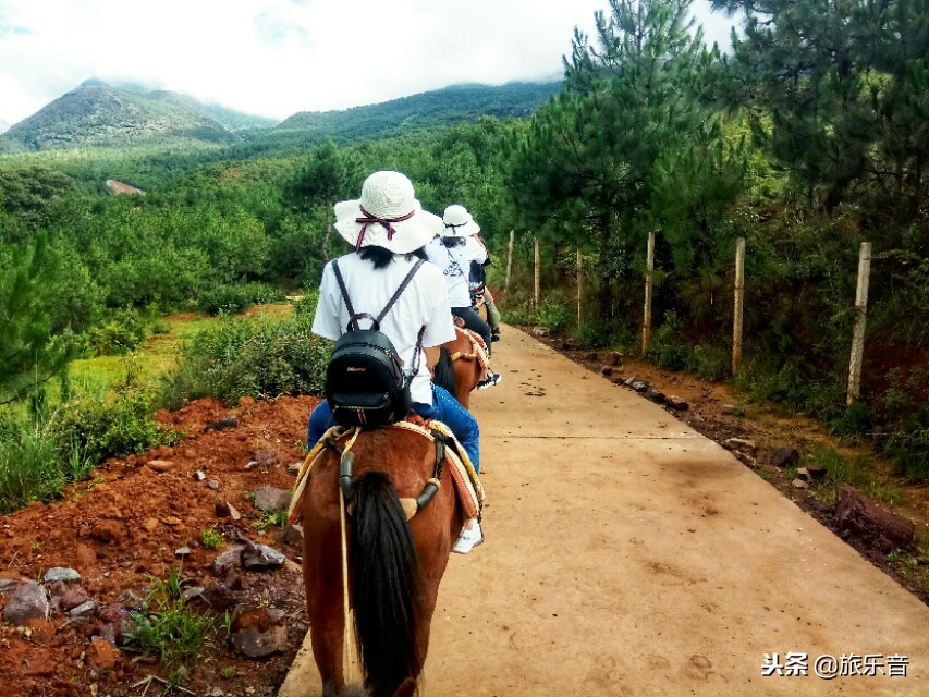 茶马古道拉市海骑马的十个景点,第一次骑马游记
