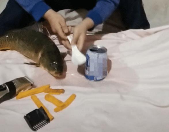 熊孩子给床垫“喂牛奶”，“牛奶床”，想想都觉得好奢侈