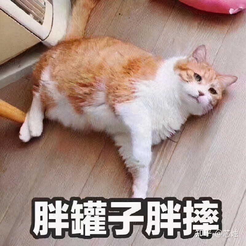 公考多次失利,考生崩溃大哭:这3个方法教你理性对待