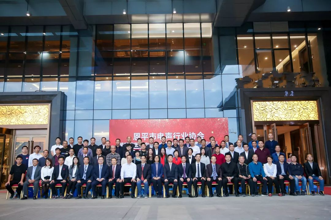 恩平电声行业协会成员,恩平协会