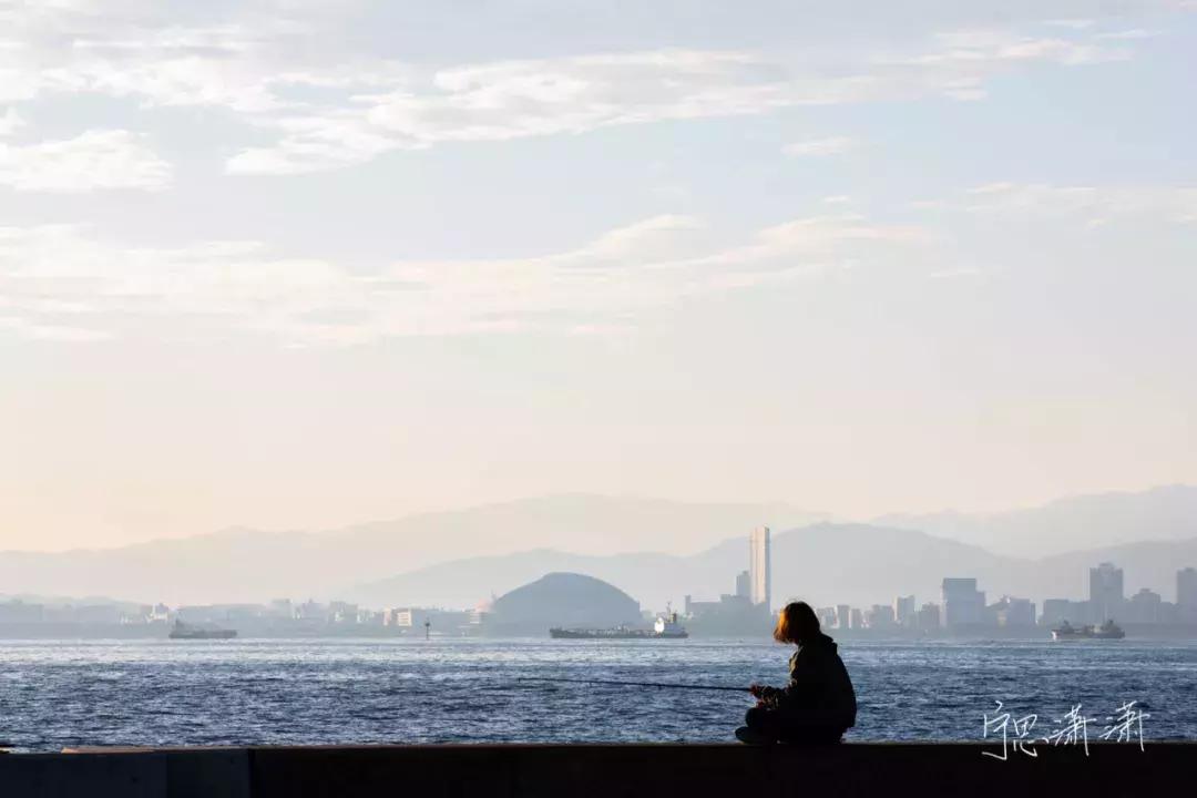 相机对焦技巧教程,相机对焦有哪些方法和技巧