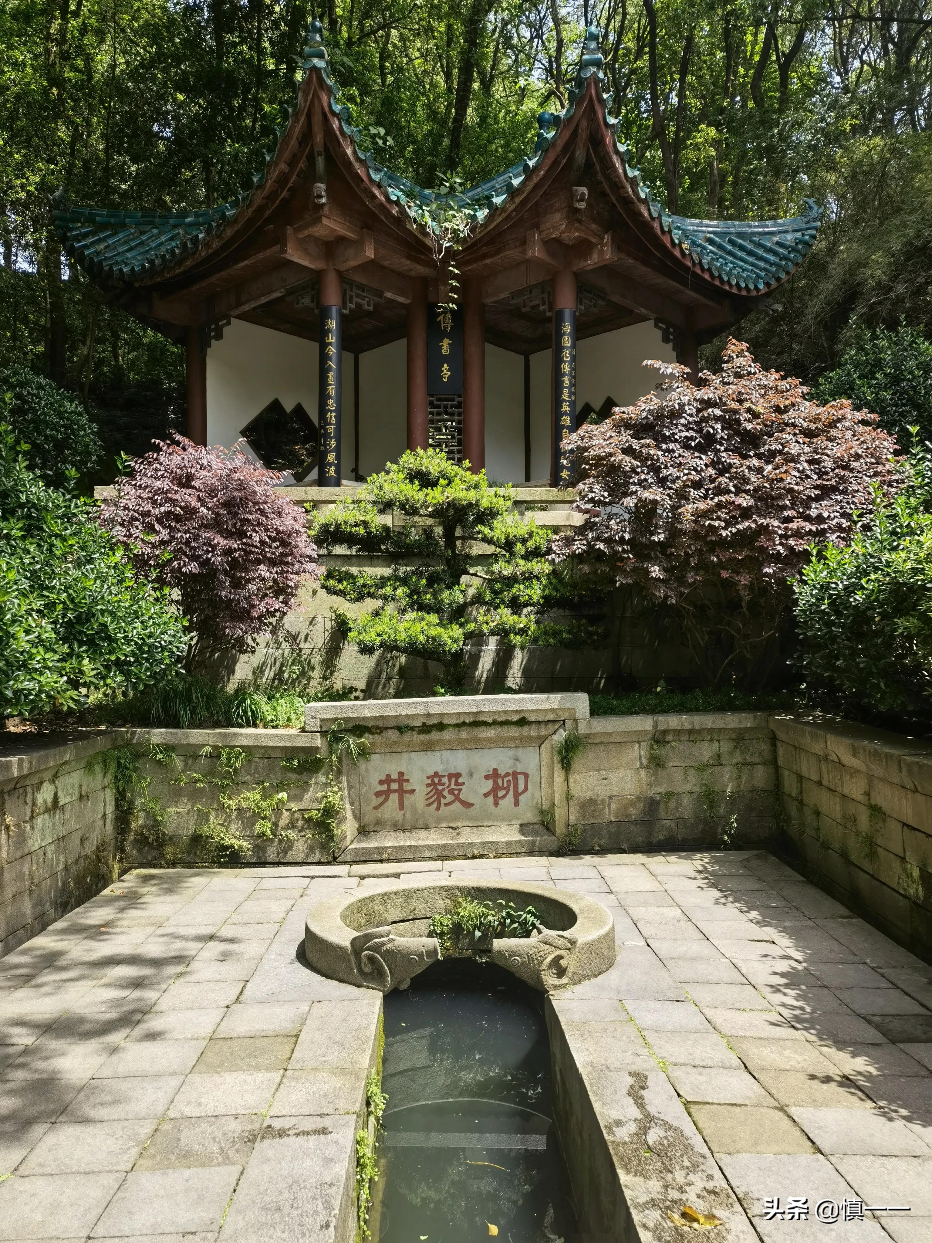 见到传说中的柳毅井传书亭，拜谒湘妃墓、亲眼目睹湘妃竹的真面目