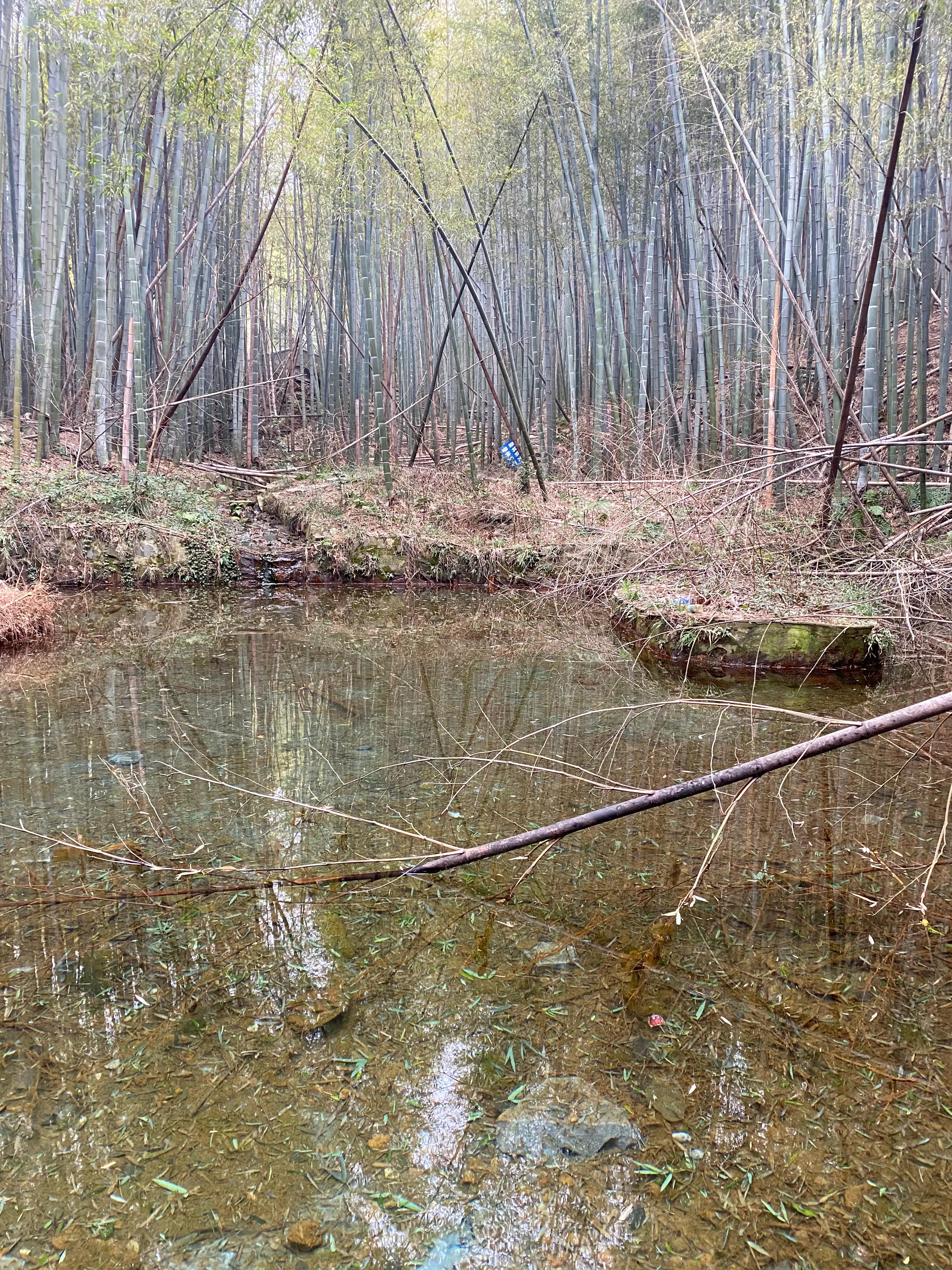 石塘竹海九寨沟,小九寨沟天然氧吧