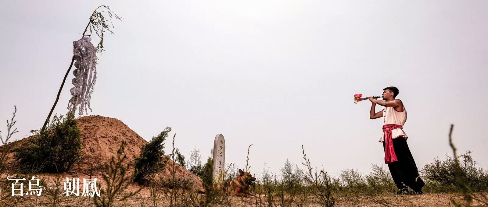 百鸟朝凤德高望重礼盒,百鸟朝凤什么人才能受得起