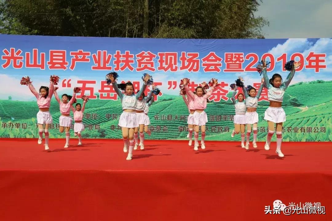 光山斗茶大赛完整版,信阳斗茶大赛获奖