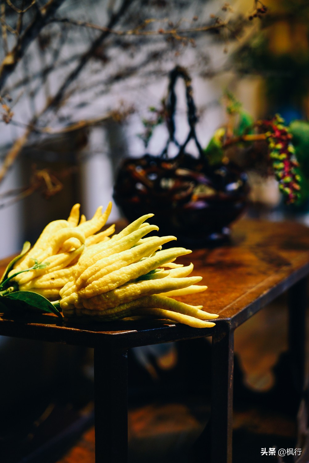 最详细实用福建土楼攻略,南靖土楼3天2晚住宿团购