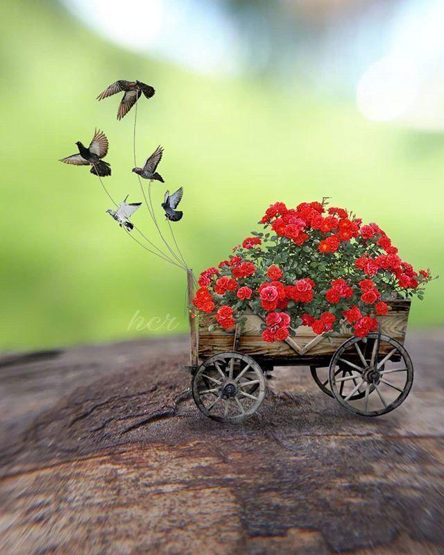 散文：乐观的人生，才会有更多的快乐