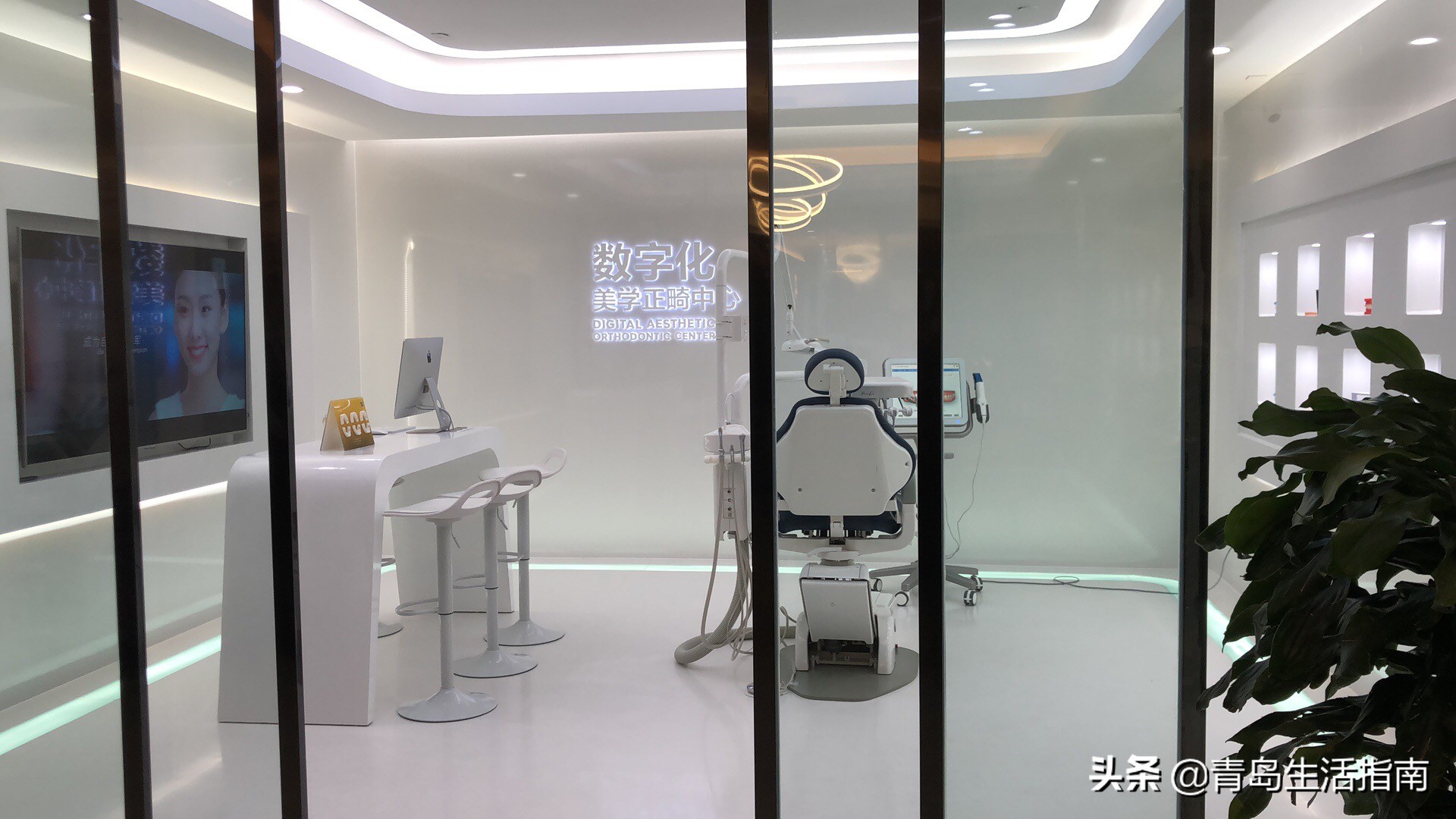 浼樿鍗氬＋鍙ｈ厰绉嶆,浼樿鍗氬＋鍙ｈ厰鐗欓娇绉嶆