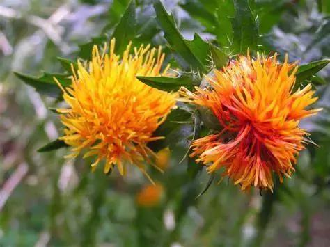 口红的制作原理,口红化学制作