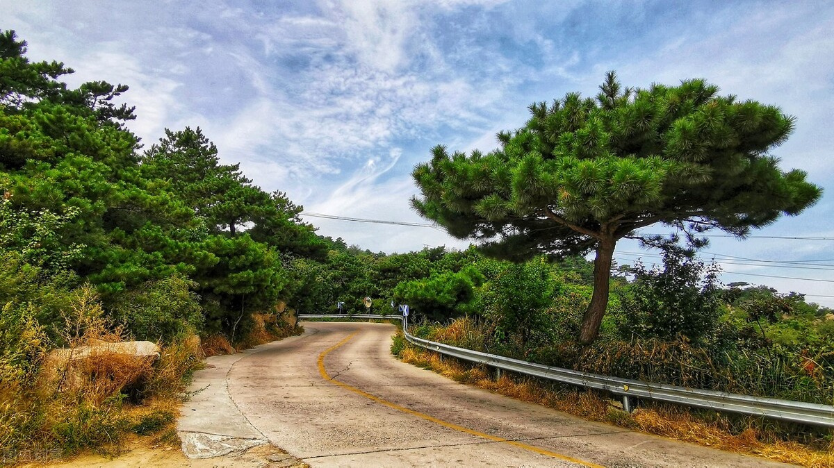 自理不了的老人最好养老方式,不能自理的老人如何安度晚年