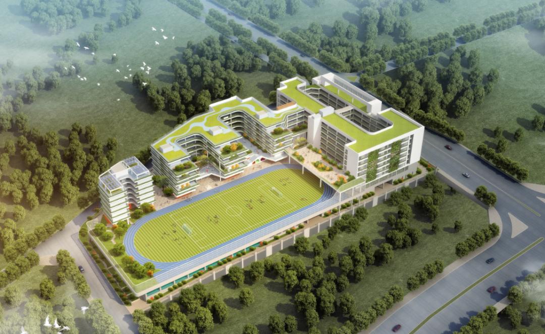 中建九局最新中标项目,中建三局最新中标信息