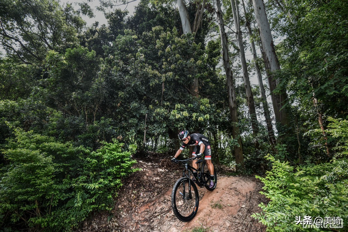 捷安特入门山地车测评,捷安特山地车公路车测评