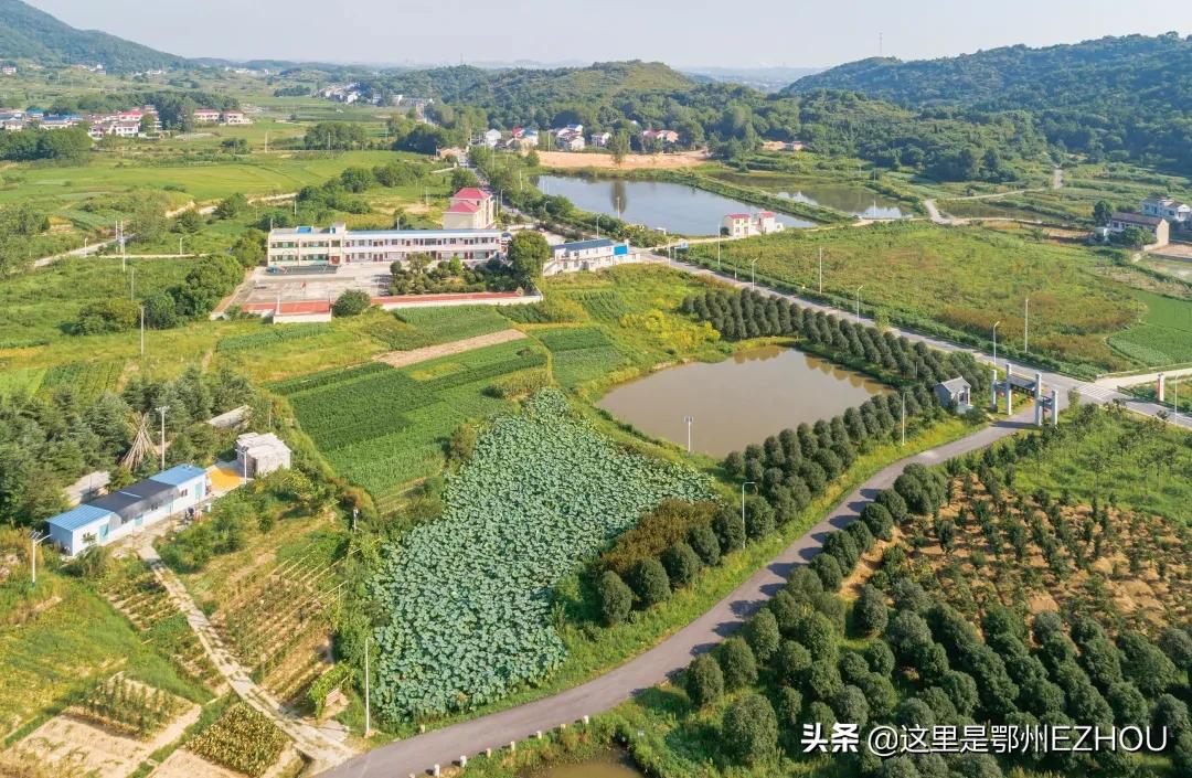 快看,又有顶级合伙人加盟鄂城