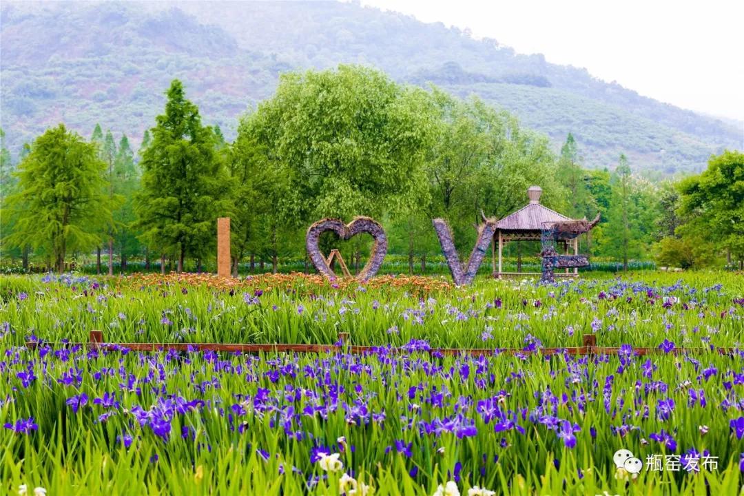 美美美！余杭七大花海组团来袭，遍地繁花好似人间仙境