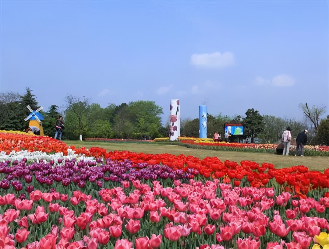 国庆肥西十大网红打卡地,合肥春游打卡攻略