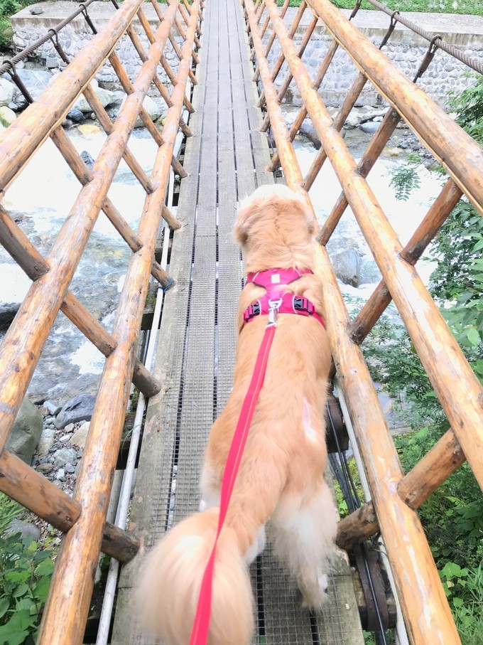 成都喇叭河自驾,自贡到喇叭河自驾