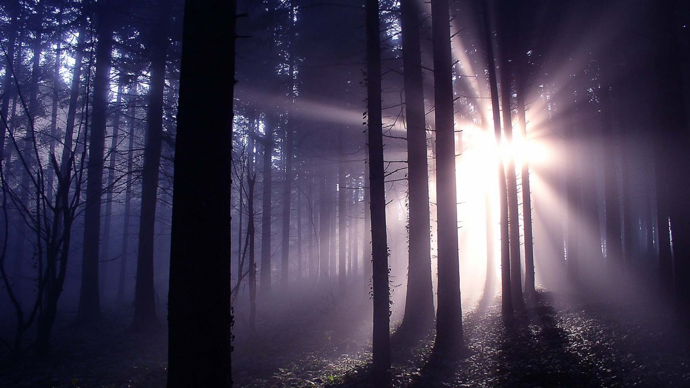 谭海引｜如何辩证地看待教练的五项原则