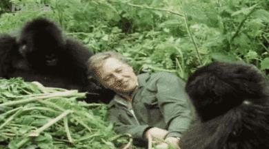 bbc封神,让很多人看一次哭一次的视频