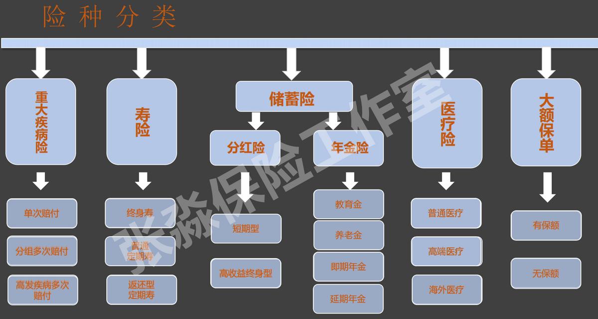 张淼淼讲保险,张淼淼保险