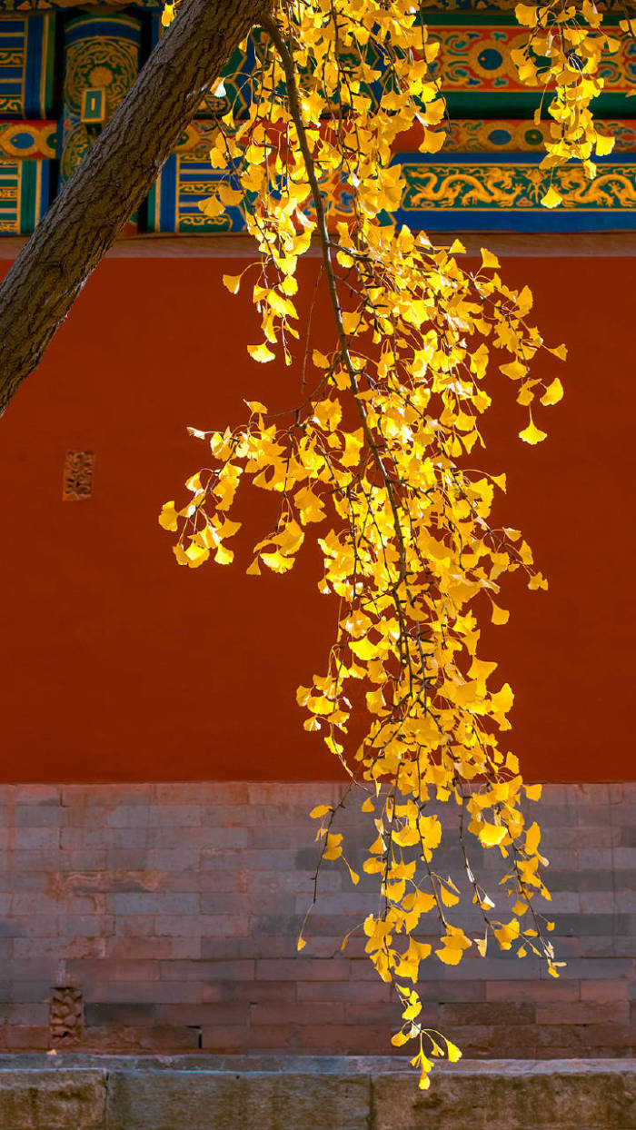 八月未央美文欣赏,七月未央散文