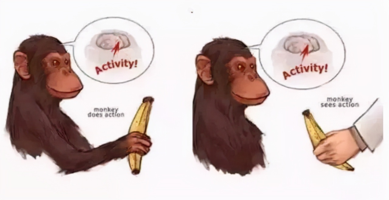 天庭饱满有福相有科学依据吗,天庭饱满是不是30岁就有福气