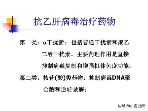 乙肝免疫耐受期抗病毒,乙肝抗病毒应答是什么意思