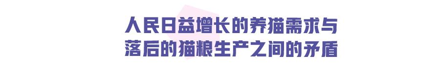 怎么给猫咪选择合适的猫粮,怎么挑选好的猫咪猫粮品牌