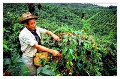 南美各国移民后裔,为什么美洲有那么多移民