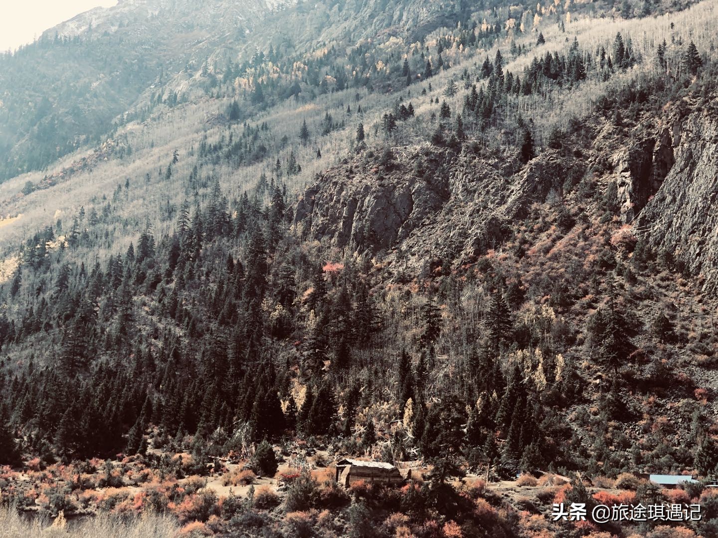 自驾游结伴的利弊,结伴自驾利与弊