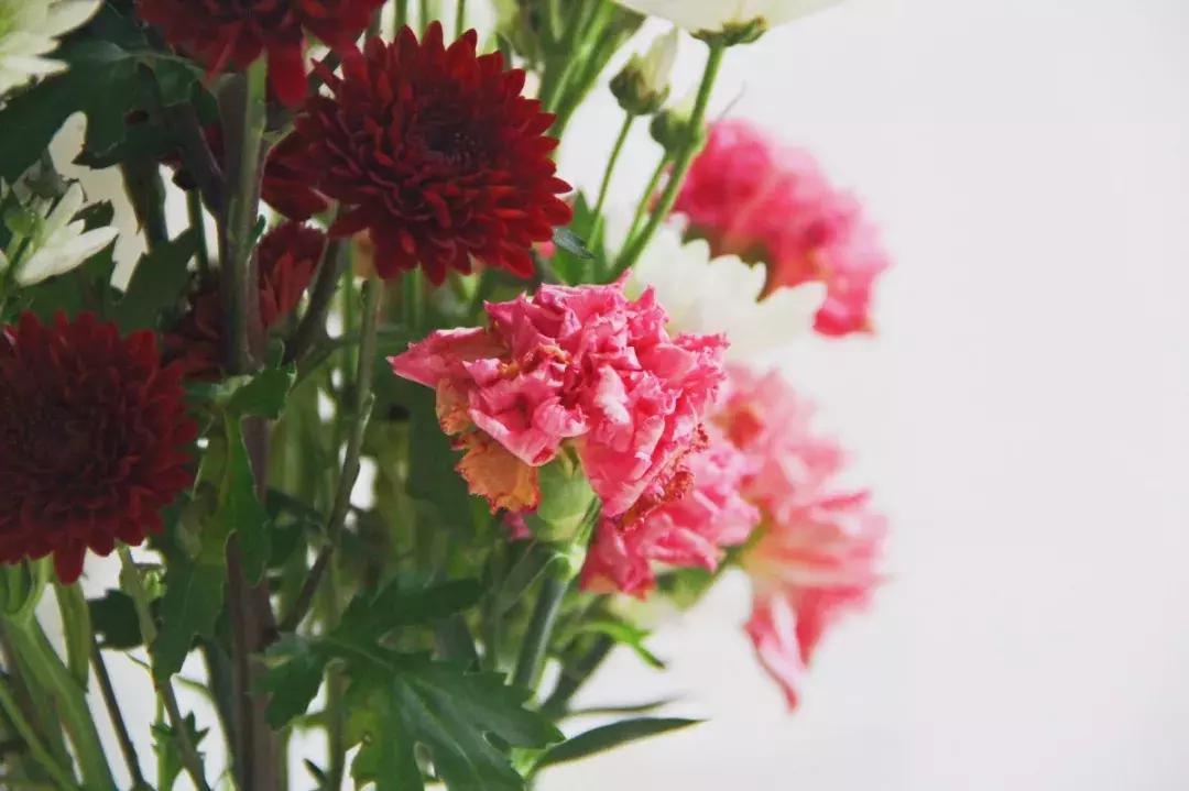 这家藏在老小区里的风味小馆，去一次就爱上话痨老板娘！