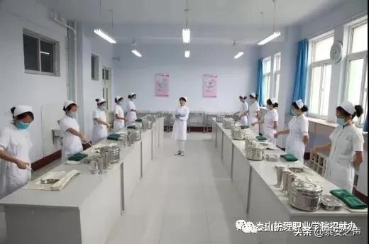 泰山护理职业学院是单招吗,泰山护理职业学院单招招生简章